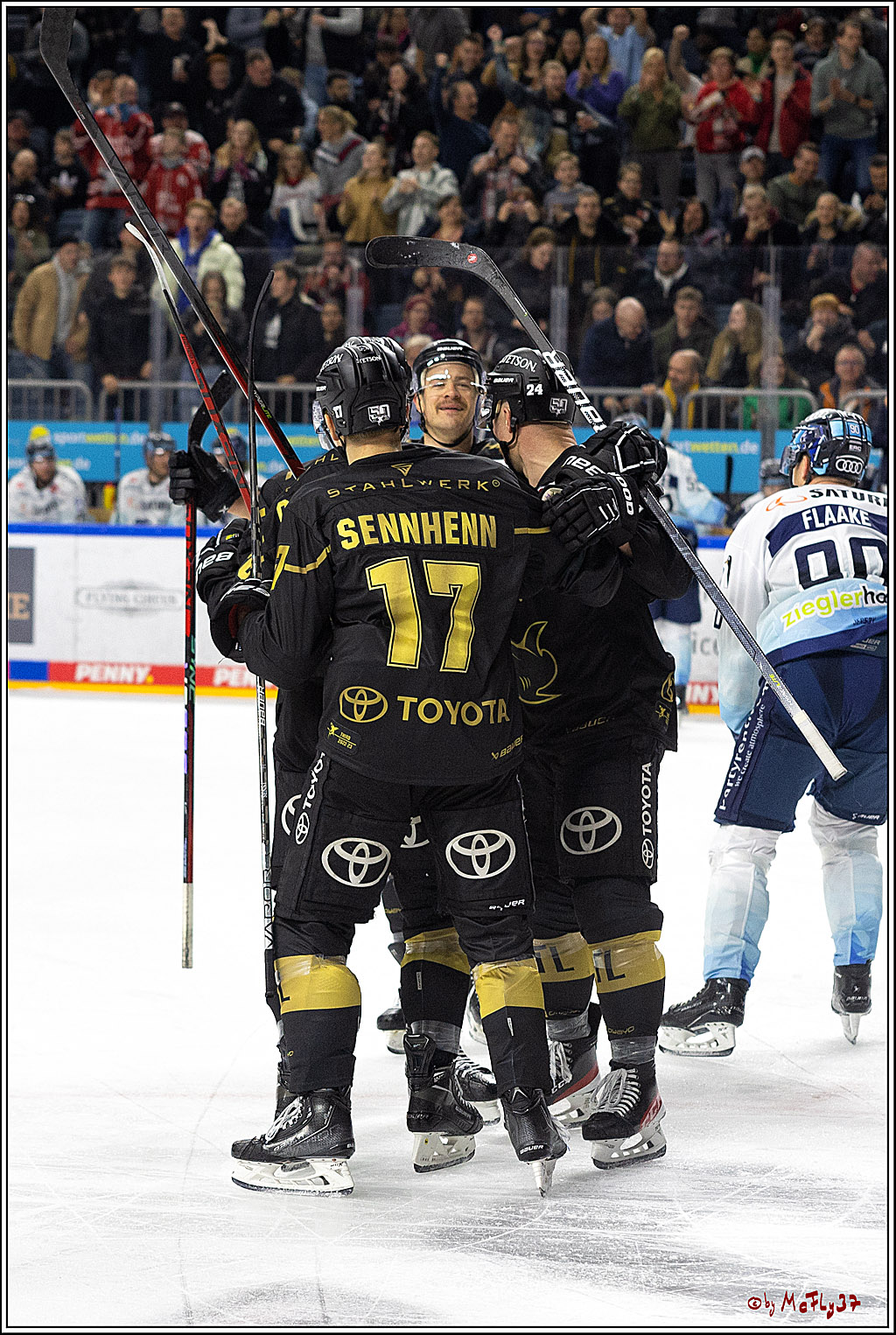 PENNY DEL;  Kölner Haie - ERC Ingolstadt; Köln, 25.11.2022